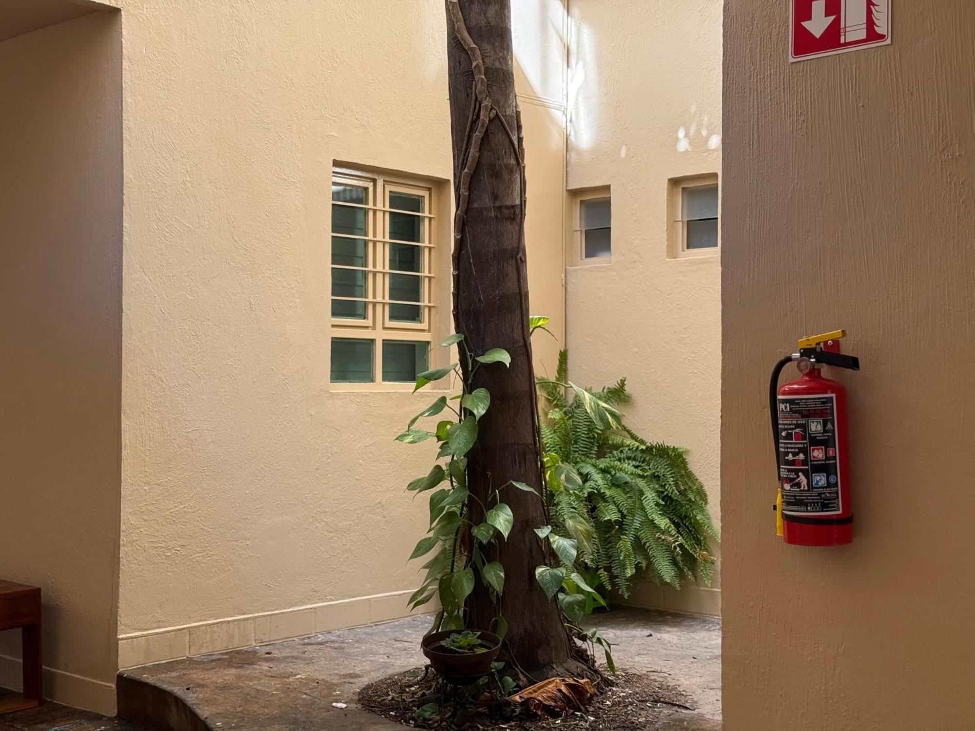 Villa La Palma Hotel Tequila Bagian luar foto